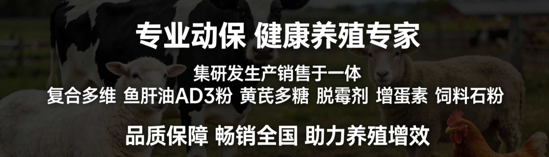 联系我们